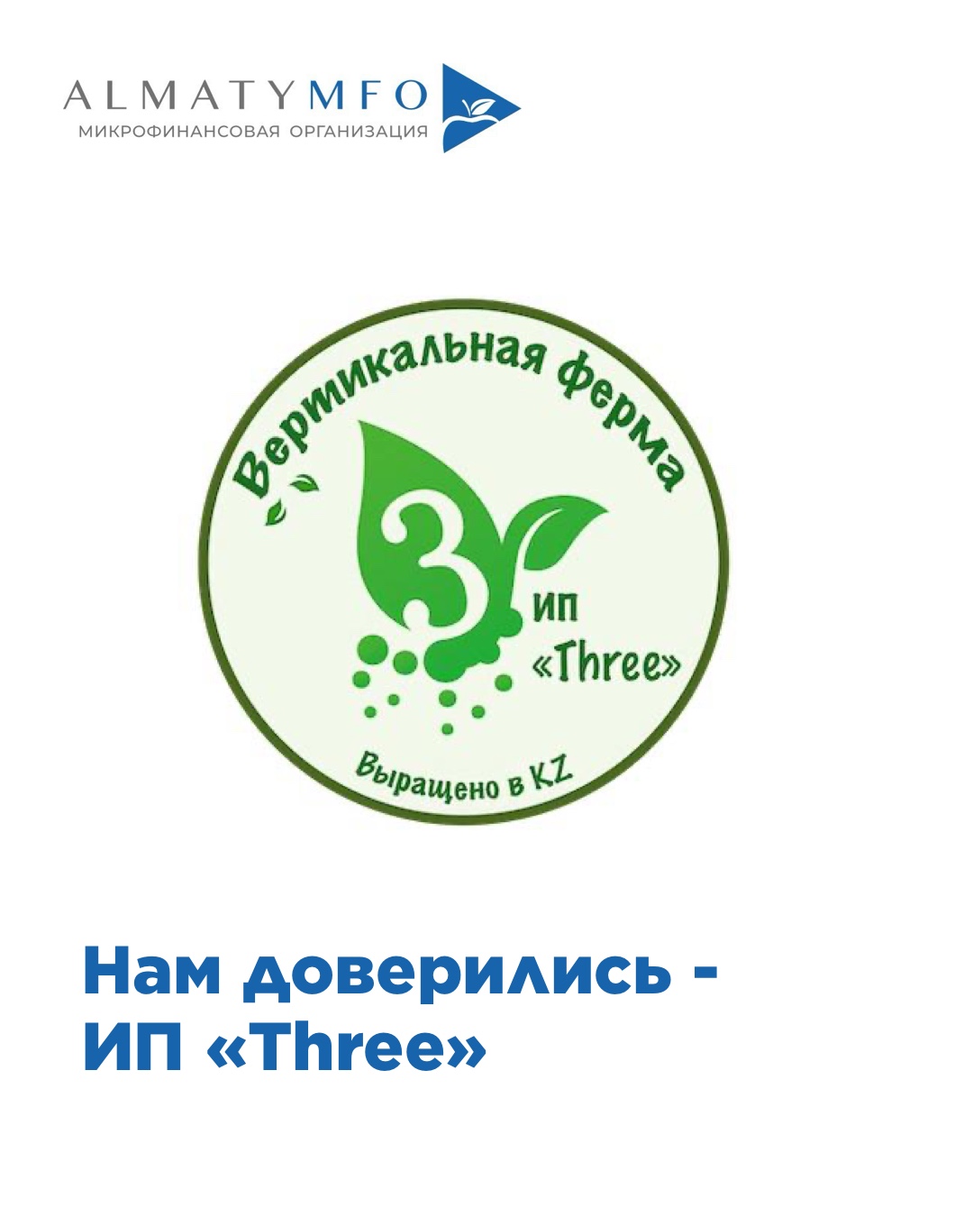 Подробнее о статье ИП «Three»