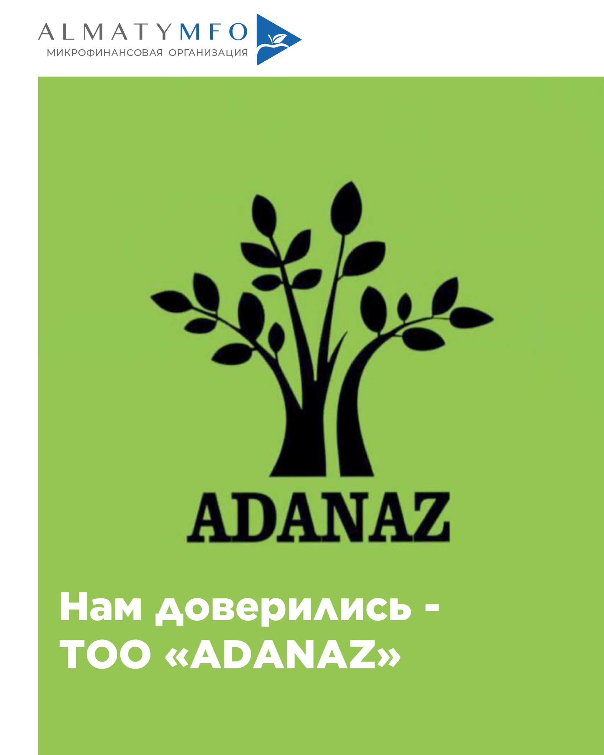 Подробнее о статье ТОО «ADANAZ»